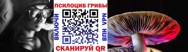 где купить   Боровичи  kraken tor  Галлюциногенные грибы ЛСД 